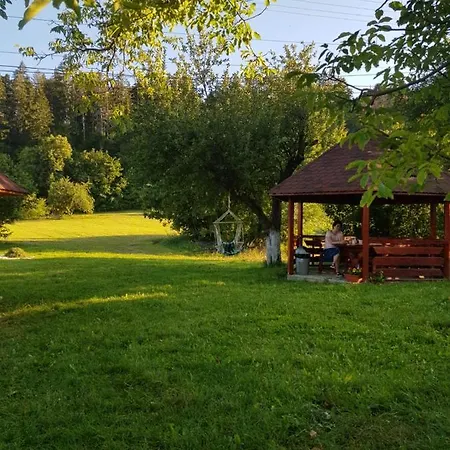 Guest house Pensiunea Nadine Agapia