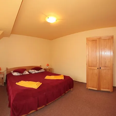 Guest house Pensiunea Nadine Agapia