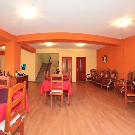 Guest house Pensiunea Nadine
