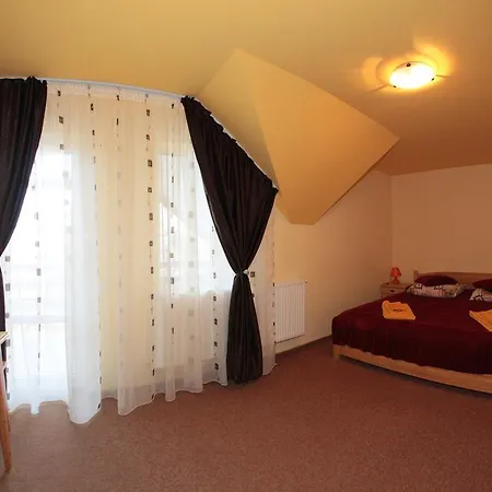 Pensiunea Nadine Guest house *