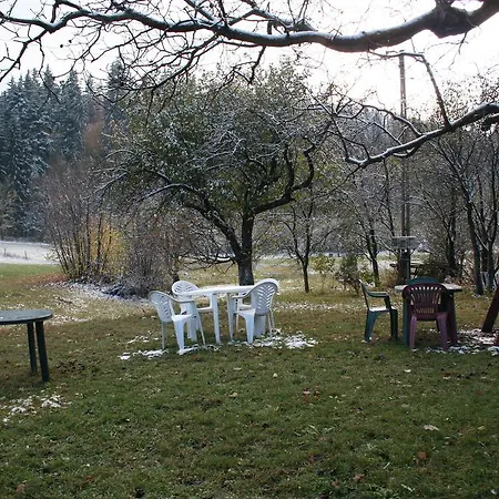 Guest house Pensiunea Nadine