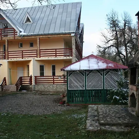 Pensiunea Nadine Guest house *