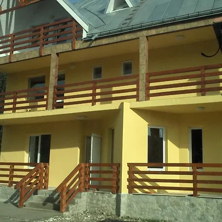 Pensiunea Nadine Guest house *